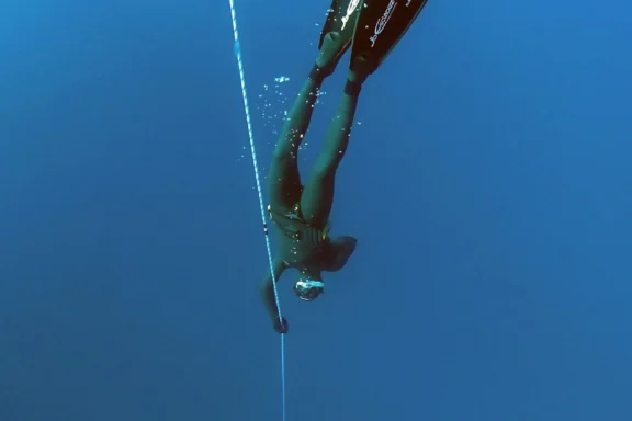 Freediving fins guide